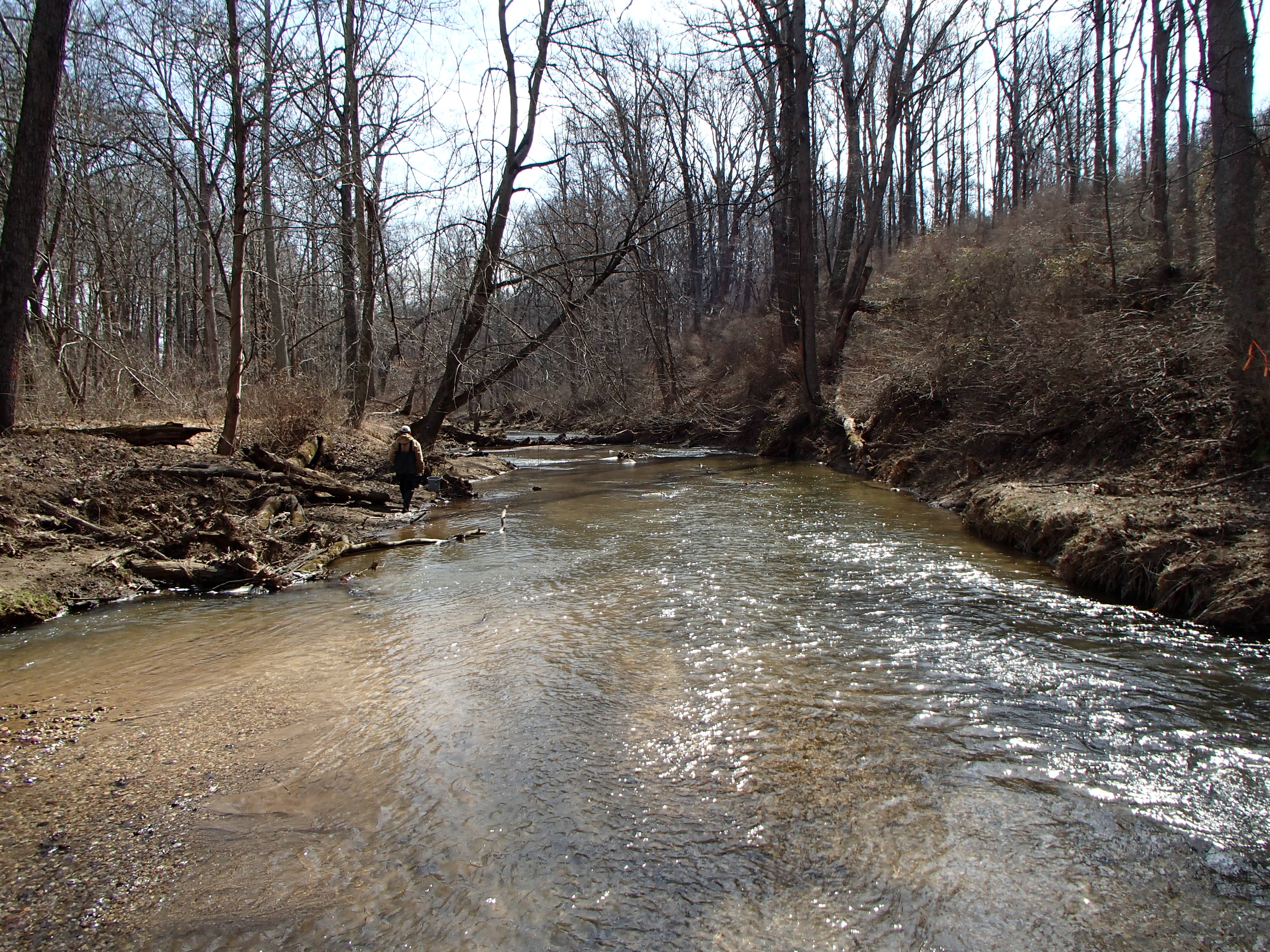 Field photo showing stream conditions at site SBPA-302-X-2016_midpoint looking downstream